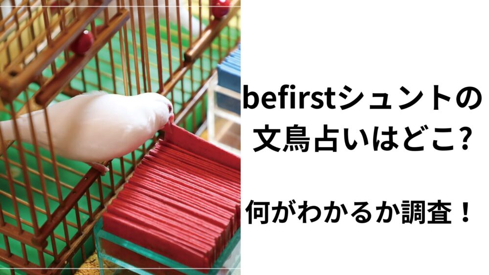 BE:FIRSTシュント